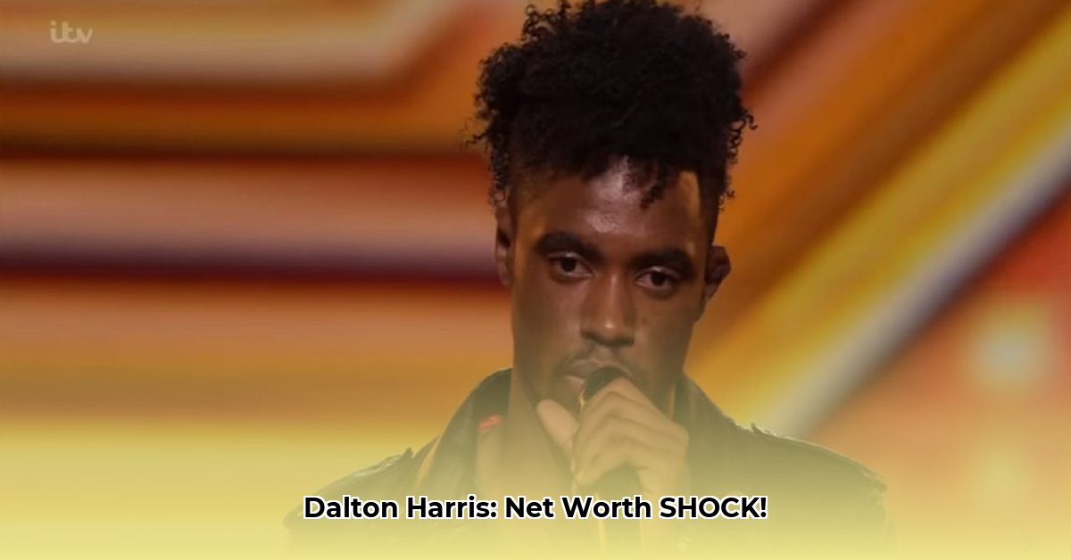 dalton-harris-net-worth